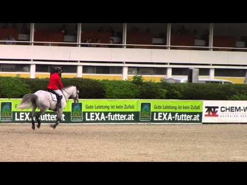 Pohár národů Linz 2015 - Ondřej Zvára a Cento Lano Arcus II.