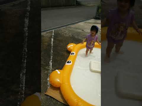 プールでの越冬：プールを大切にするために知っておくべきことすべて！  庭園