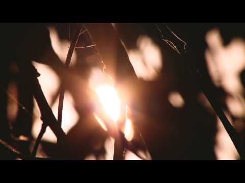 Episode #1 - The Inspiration