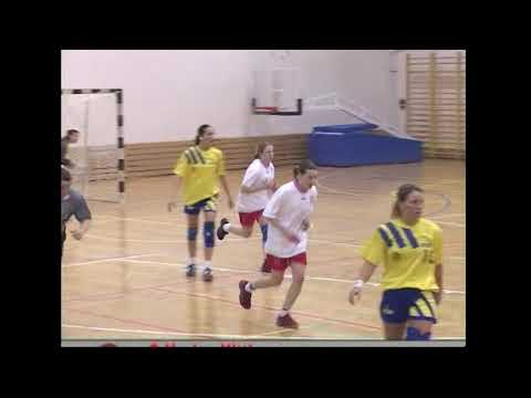 Lelátó - Eszterházy KFSC – DVSC női kézilabda mérkőzés /2004.04.06./