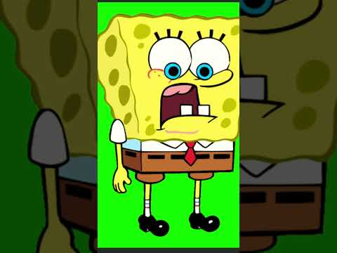 Kooke kooke #bird #funny #remix #music