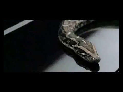 Spot Lancia Musa    Il vero stile non ama gli eccessi