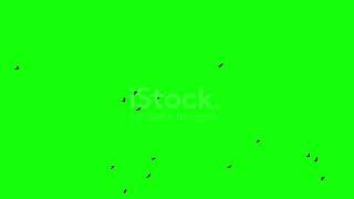 Ready to Fly, an awesome's lyrics and song by Richard Marx.