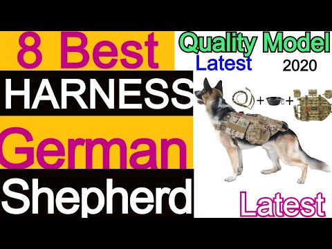 Best Dog Harness For German Shepherd: Top 8 High Durable Model