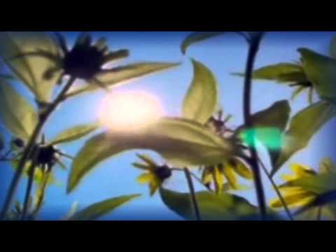 D.Galani- Δ.Γαλάνη: Hasapiko 40 ~ Χασάπικο 40