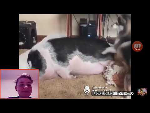 Miért???10/10-es kiégés!!!!