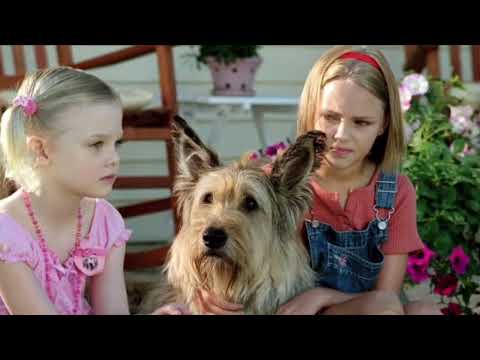 Because of Winn Dixie Trailer