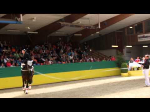 vaulting CVI krumke 2011 Maria Paulina Martinez