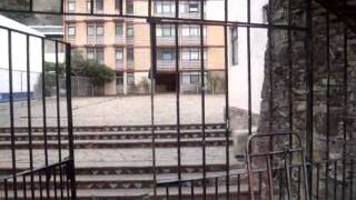 Rabia sorda cantos de violencia guanajuato city