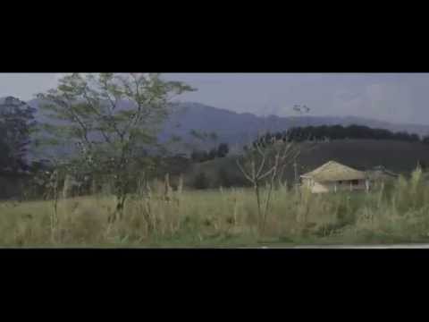 Alexandre Beltramini - Poder da Imaginação