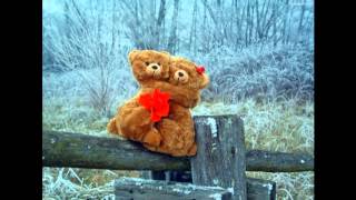 Pluszowy miś   piosenka dla dzieci