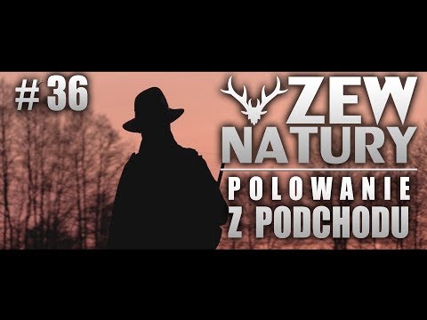 Zew Natury #36 - Polowanie z podchodu