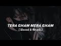 Tera Gham Mera Gham Slowed Reverb Sad Song