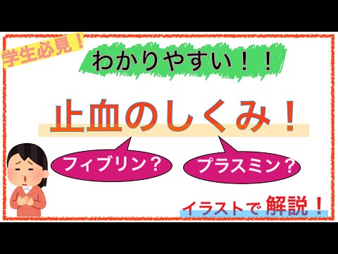 アルドロヴァンダ・ベシクロサ