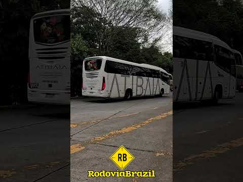 NOVO HORIZONTE • ATIBAIA • PÁSSARO MARROM #short #rodoviabrazil #saopaulo #viagem #onibus