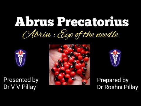 Abrus Precatorius || Abrin : Eye of the needle
