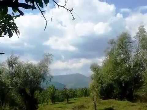 Cerneşti (Ciufuca) - Prahova