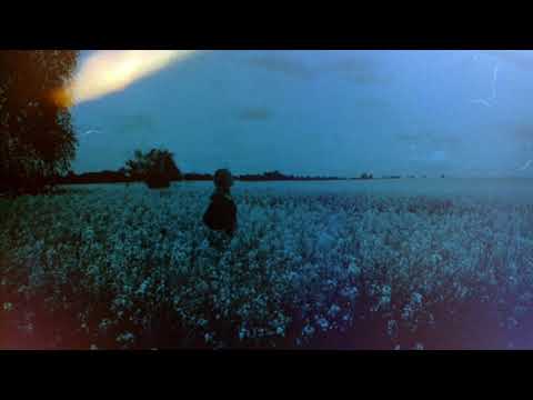 Sibewest - They're Long Gone