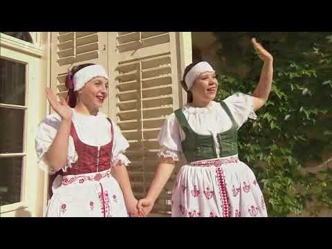 Šumné stopy  Chorvatsko -  Češi v Slavonii 2011