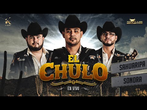Novillos De La Sierra - El Chulo [Audio Oficial]