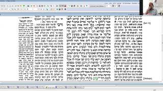 דף יומי - מסכת עירובין דף לח
