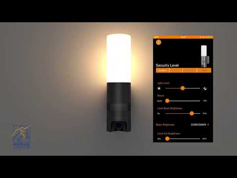 Steinel L 620 Cam, умное светодиодное наружное освещение с датчиком движения, наружное освещение с камерой, к - фото 3 - id-p1677993116