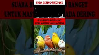 Download lagu NADA DERING|RINGTONE|MASTERAN BURUNG SUARA KICAUAN KENARI  GACOR TEMBAKAN KASARAN PART-4 mp3
