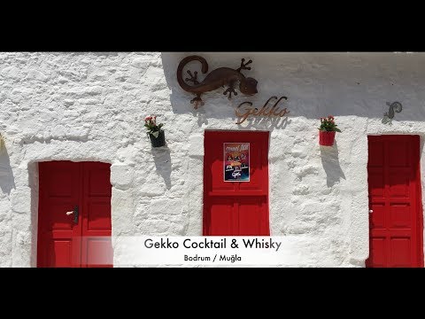 Gekko Cocktail & Whisky (Street Fun)