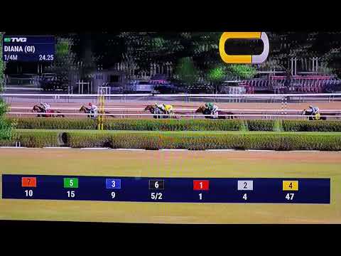 DIANA ( G 1) STAKES $500,000 7/21/18 - SISTERCHARLIE !!