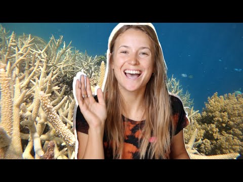 Best Christmas Gifts for Scuba Divers