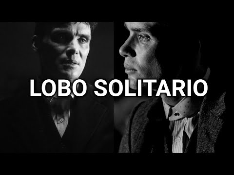 SI TE TOCÓ LUCHAR SOLO, DEBES TENER LA ACTITUD DEL LOBO SOLITARIO, Discurso Motivacional.