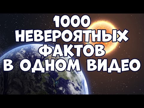 1000 UNGLAUBLICHE FAKTEN IN EINEM VIDEO