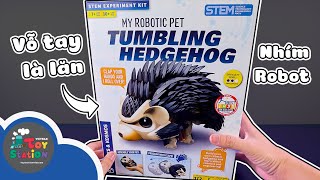 Chế tạo chú nhím robot lăn lộn theo vỗ tay Tumbling Hedgehog ToyStation 854