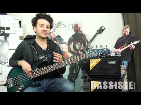 Antonin Rubatat : Meshuggah (Dick Lövgren) - Bassiste Magazine #69