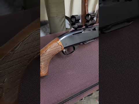 Remington Mohawk 600