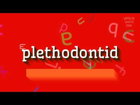 PLETHODONTID - HOW TO PRONOUNCE PLETHODONTID?