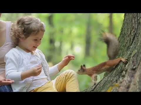 The Little Boy and Squirrel Story | Forest Story of Kids | Kids Story in English | #naseeranasi