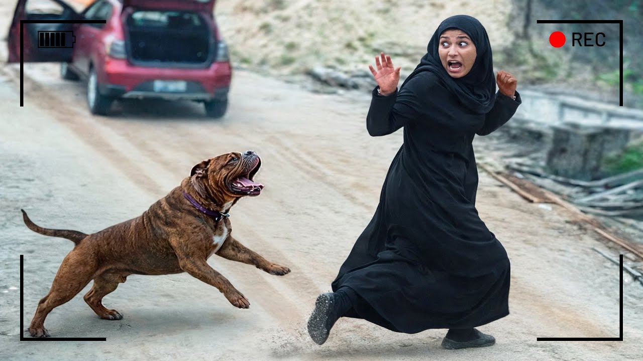 لن تتوقف عن الضحك عندما تشاهد ما يفعله أبطال هذه الحلقة