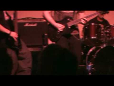 Radiators - War Never Changes