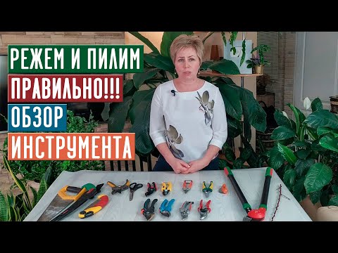 Чем обрезают кусты и деревья