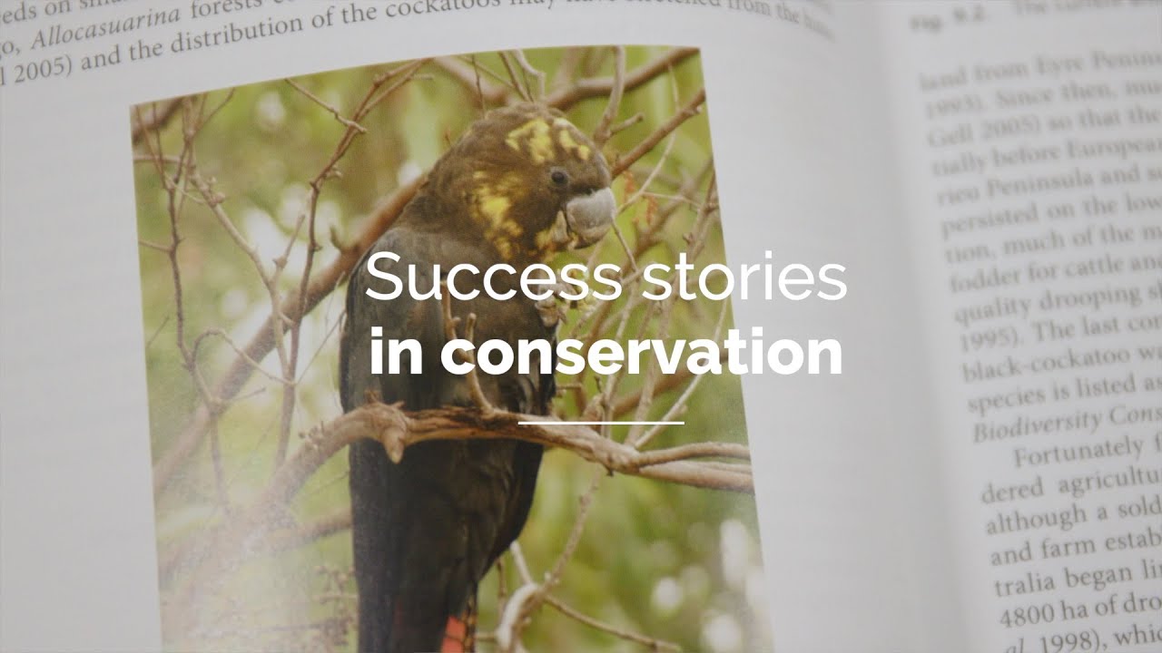 Success stories in conservation