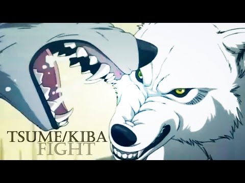 Wolfs Rain - Tsume and Kiba fight