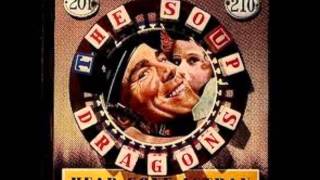 Head Gone Astray - The Soup Dragons