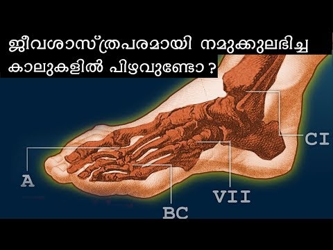 Our Foot Is a Design Disaster || CAPSULE |