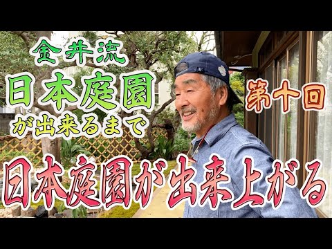 鯉の池 – 日本庭園の生きた宝石  庭園