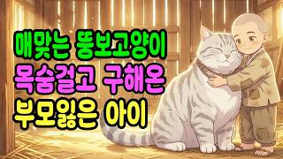 Download lagu 매맞고 쫓겨나는 대왕고양이 구해서 집으로 데려온 부모 잃은 거지 아이 , 그 둘을 기다리고 있는 운명 | 야담|옛날이야기|오디오북|수면동화|전설|민담 mp3 Download lagu 매맞고 쫓겨나는 대왕고양이 구해서 집으로 데려온 부모 잃은 거지 아이 , 그 둘을 기다리고 있는 운명 | 야담|옛날이야기|오디오북|수면동화|전설|민담 mp3