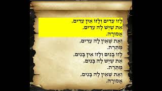משניות יבמות פרק טז משנה ב