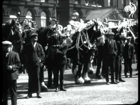 Horses In Fancy Dress (1928)