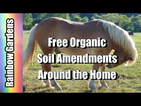 Here Are Just a Few of the Free Organic Fertilizers & Soil Amendments I Use in the Gardens Video
