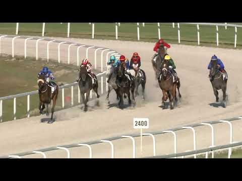 2021.05.09. 09. futam - PETTKÓ-SZANDTNER TIBOR EMLÉKVERSENY HENDIKEP (III.o.)(szintetikus pálya)